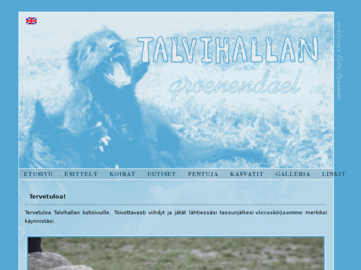 www.talvihallan.com