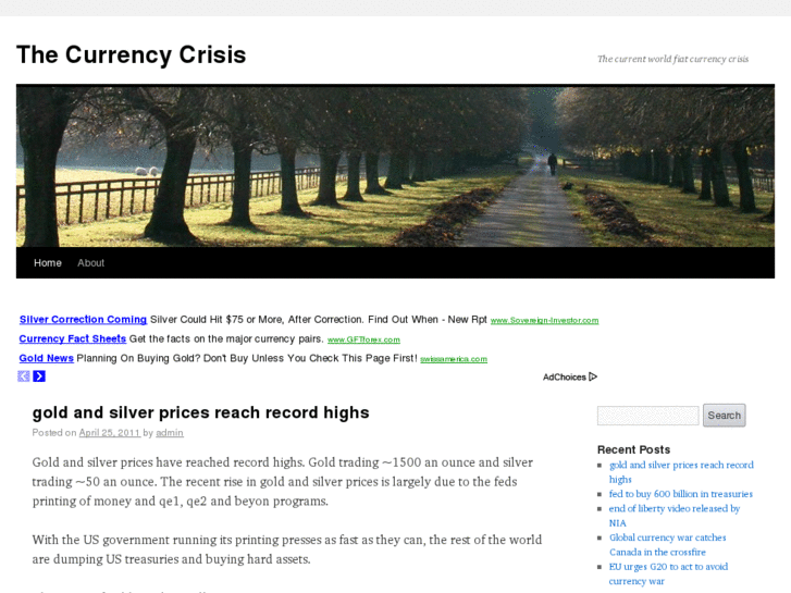 www.thecurrencycrisis.com