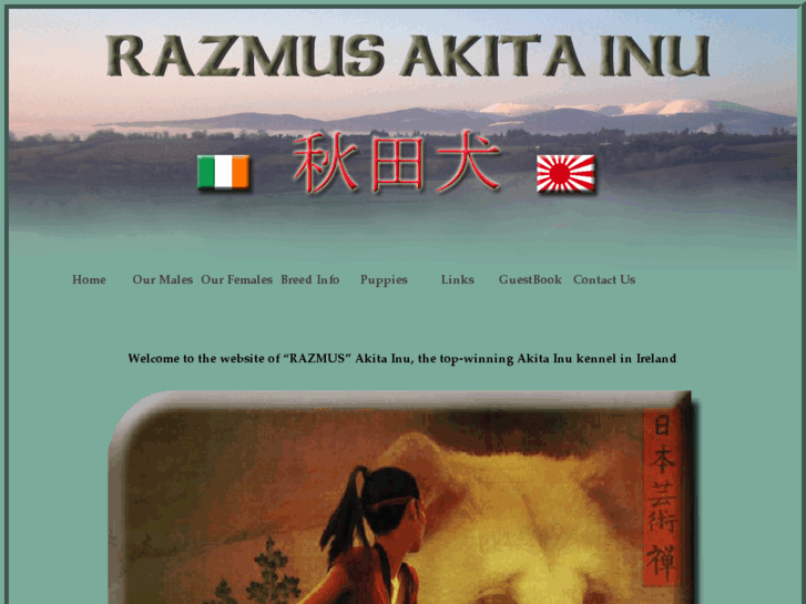 www.akitainu.ie