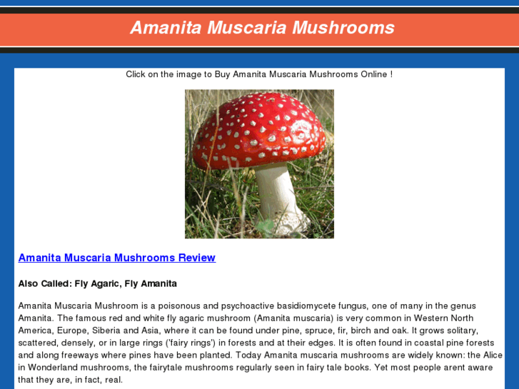 www.amanitamuscariamushrooms.net