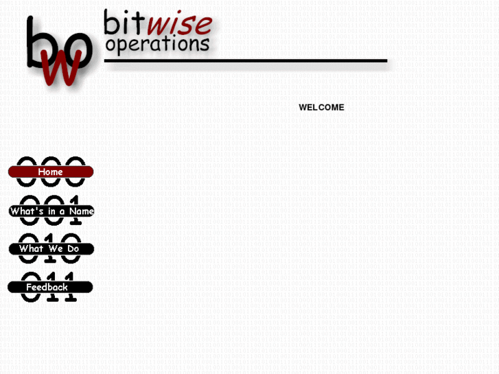 www.bitwiseop.com