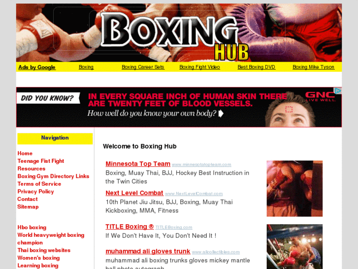 www.boxinghub.com