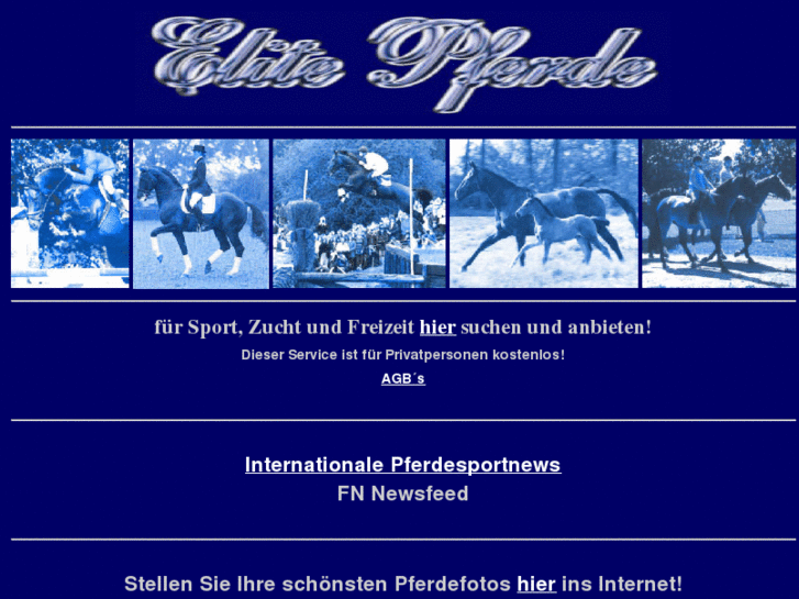 www.elite-pferde.com