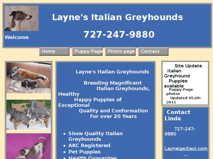 www.layneigs.com