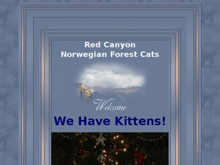 www.redcanyoncats.com