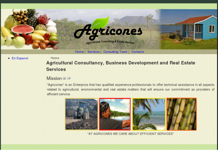 www.agricones.com