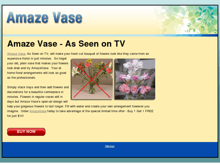 www.amazevaseontv.com