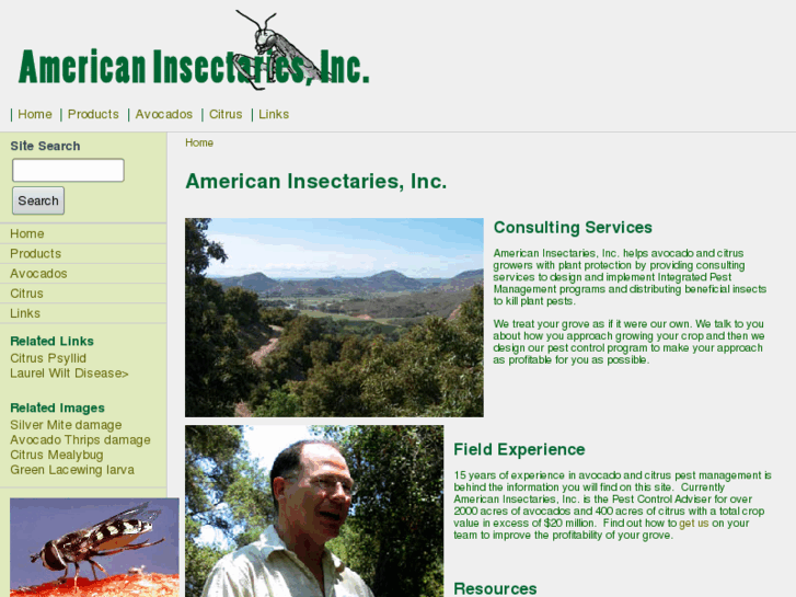 www.americaninsectaries.com