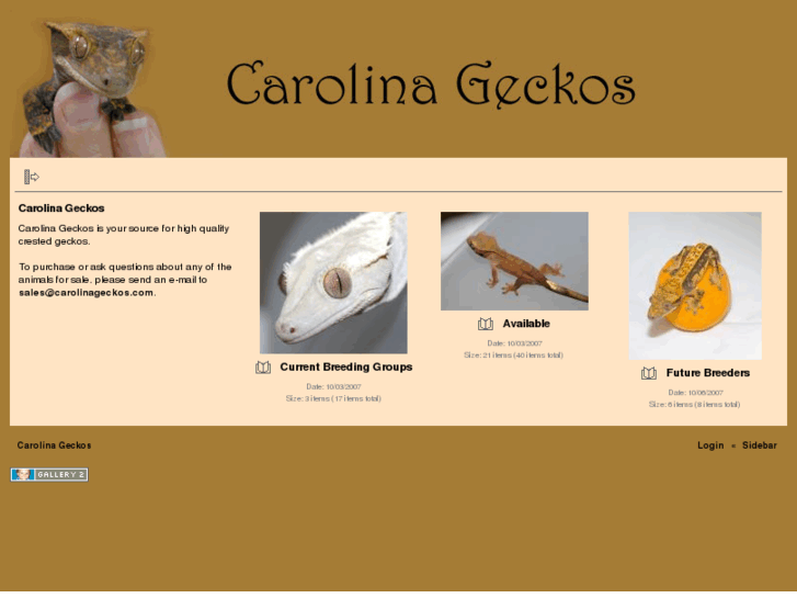 www.carolinageckos.com