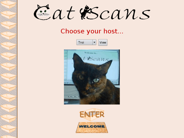 www.catscans.com