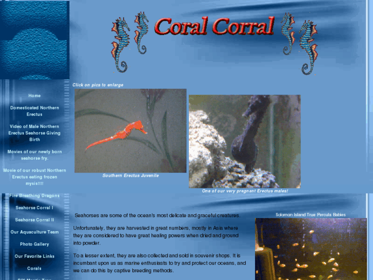 www.coralcorral.com