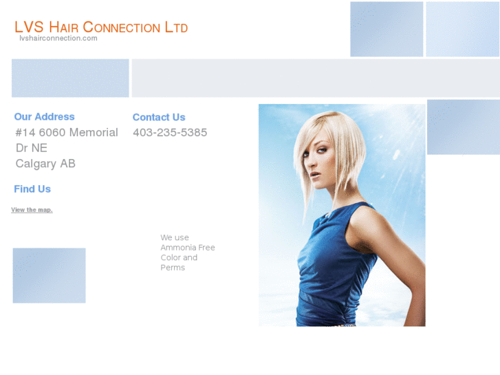 www.lvshairconnection.com