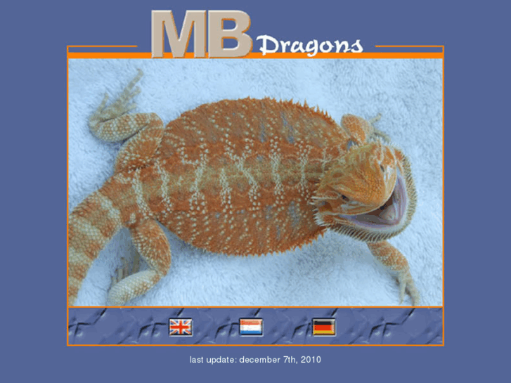 www.mbdragons.com