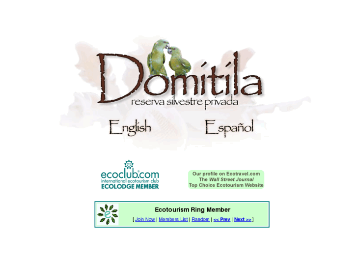 www.domitila.org