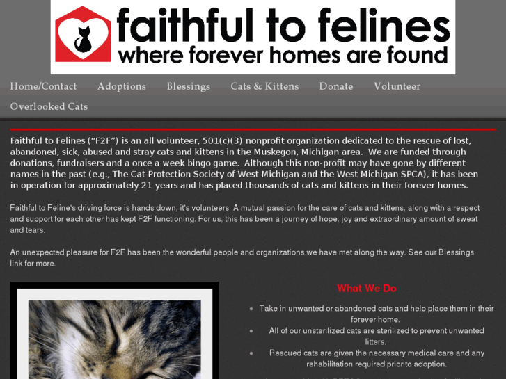 www.faithful2felines.com