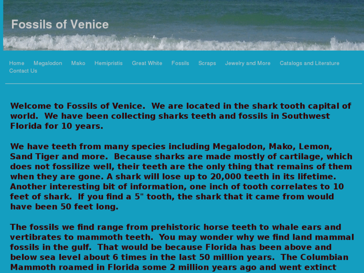 www.fossilsofvenice.com
