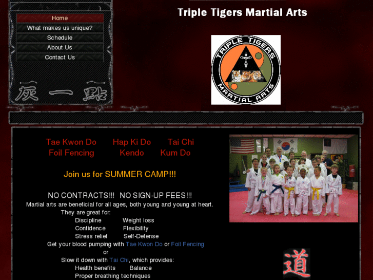 www.tripletigersmartialarts.com