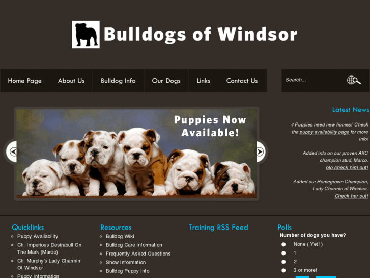 www.bulldogsofwindsor.com