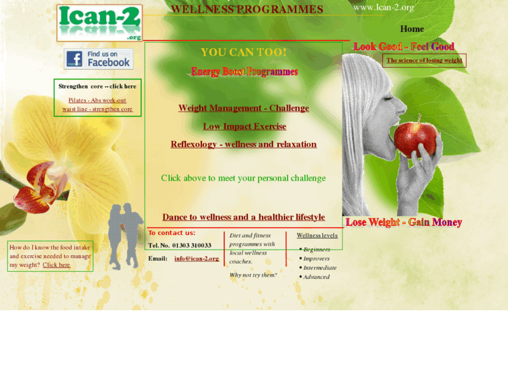 www.ican-2.org