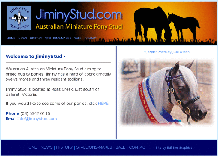 www.jiminystud.com