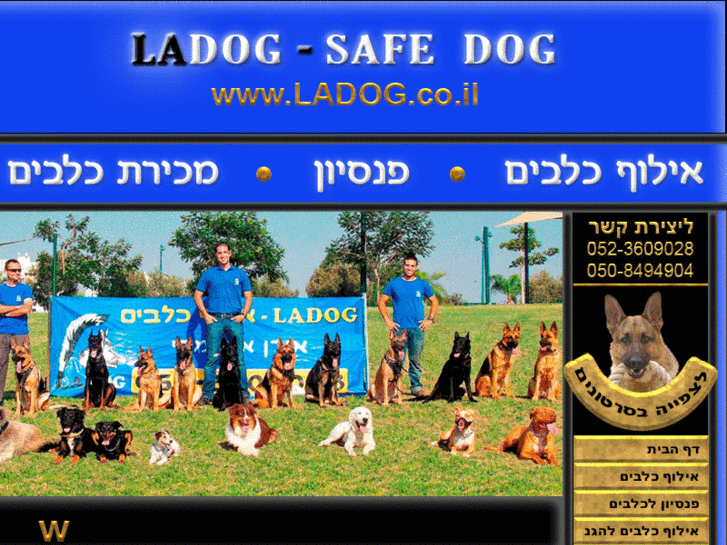 www.ladog.co.il