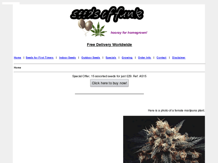 www.seedsoffunk.com