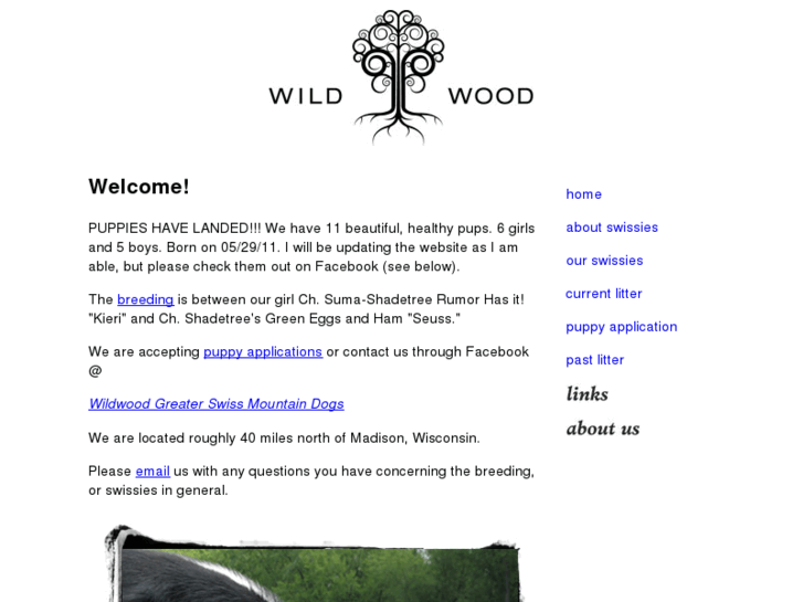 www.wildwoodswissies.com