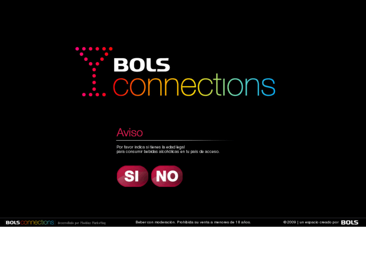 www.bolsconnections.com