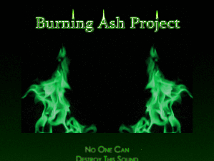 www.burningashproject.com