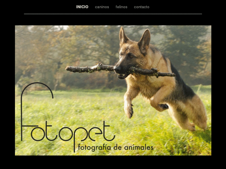 www.fotopet.es