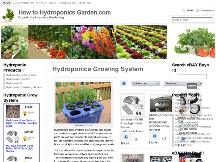 www.howtohydroponicsgarden.com