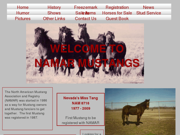 www.namarmustangs.com