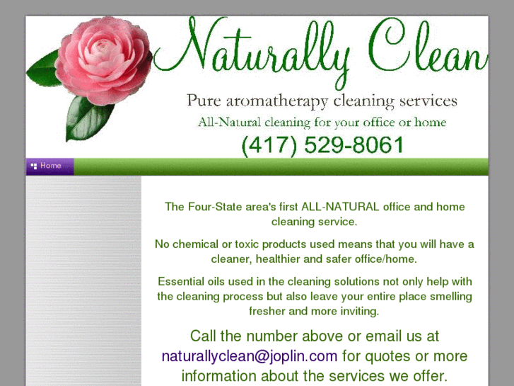 www.naturallycleannow.com