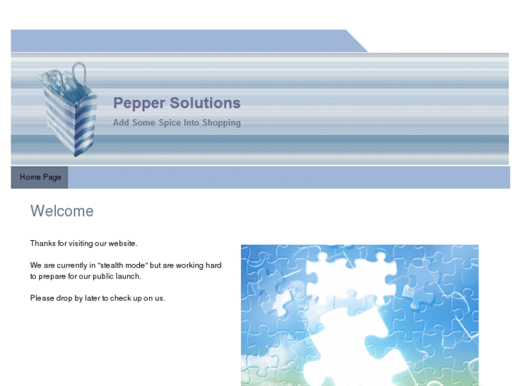 www.pepper-solutions.com