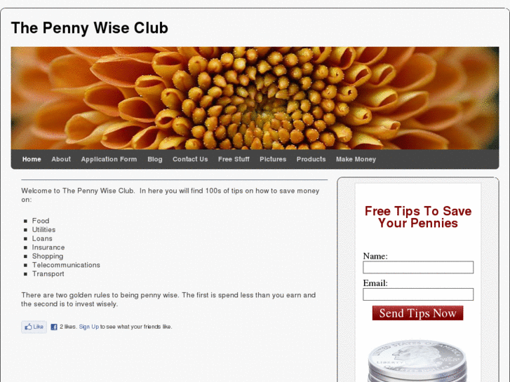 www.thepennywiseclub.com