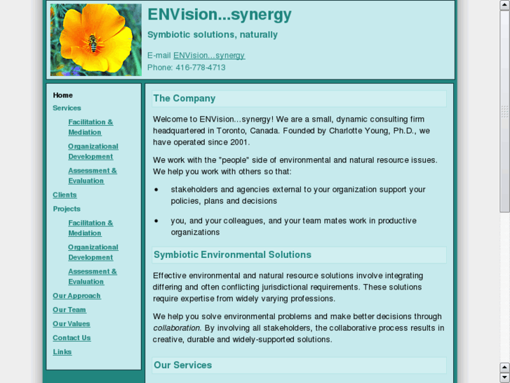 www.envision-synergy.com