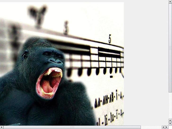 www.gorillachorus.com