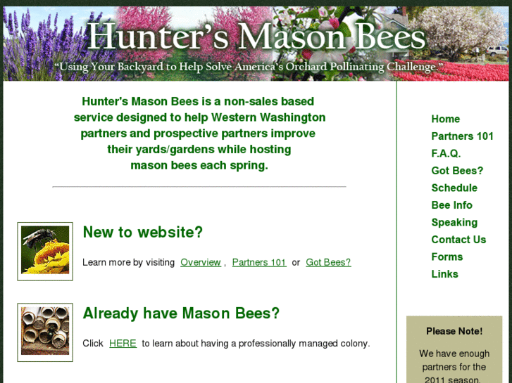 www.huntersmasonbees.com