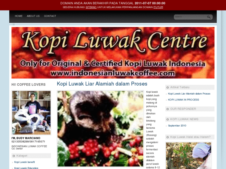 www.indonesianluwakcoffee.com