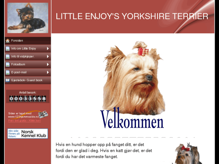 www.little-enjoy-yorkshireterrier.com