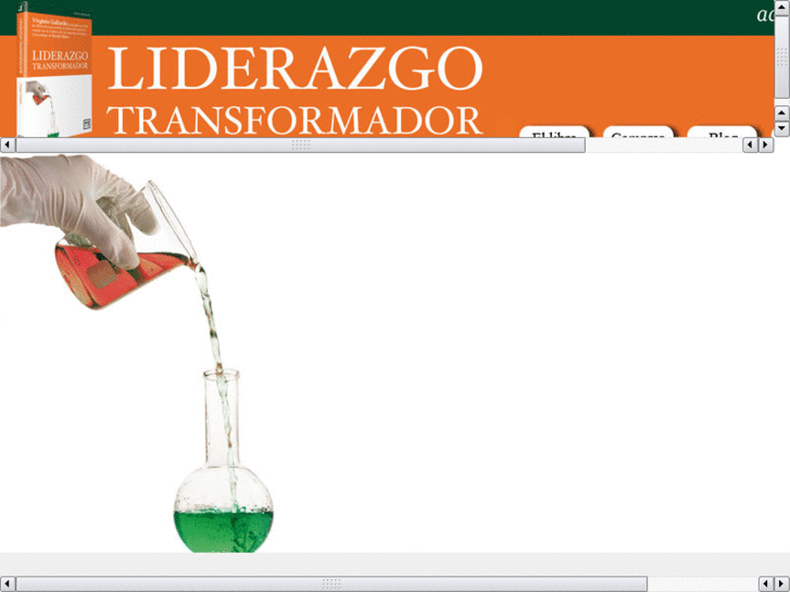 www.elliderazgotransformador.com