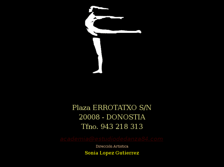 www.estudiodedanza84.com