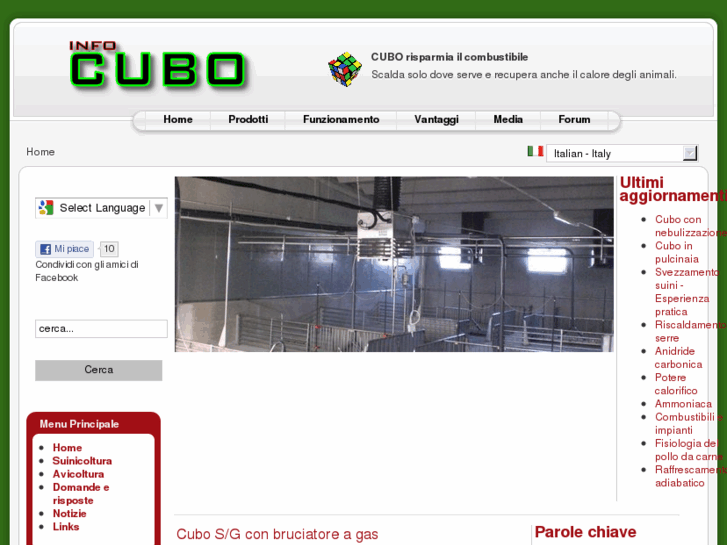 www.infocubo.com