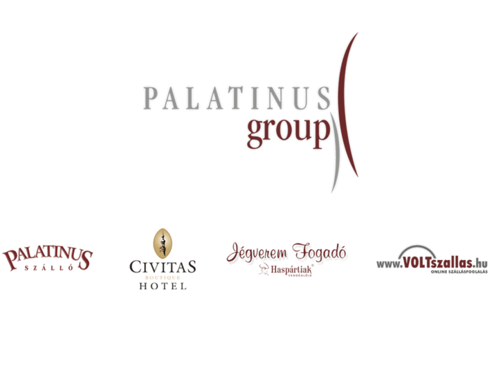 www.palatinusgroup.com