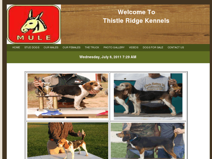 www.thistleridgekennels.com