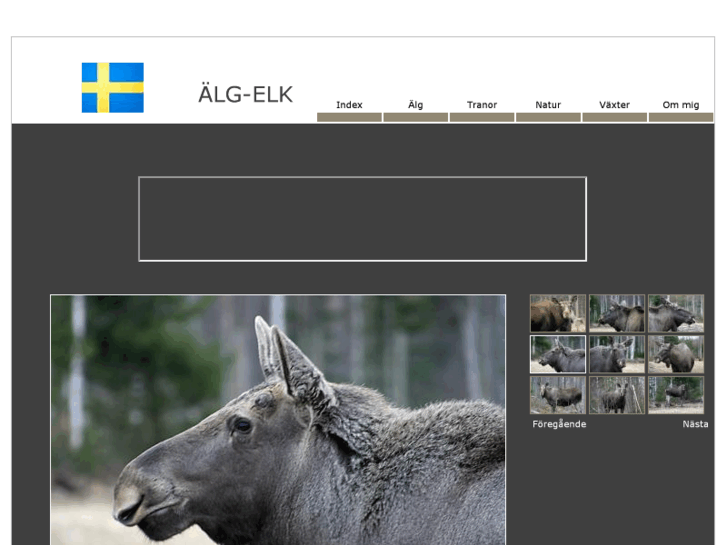 www.alg-elk.se