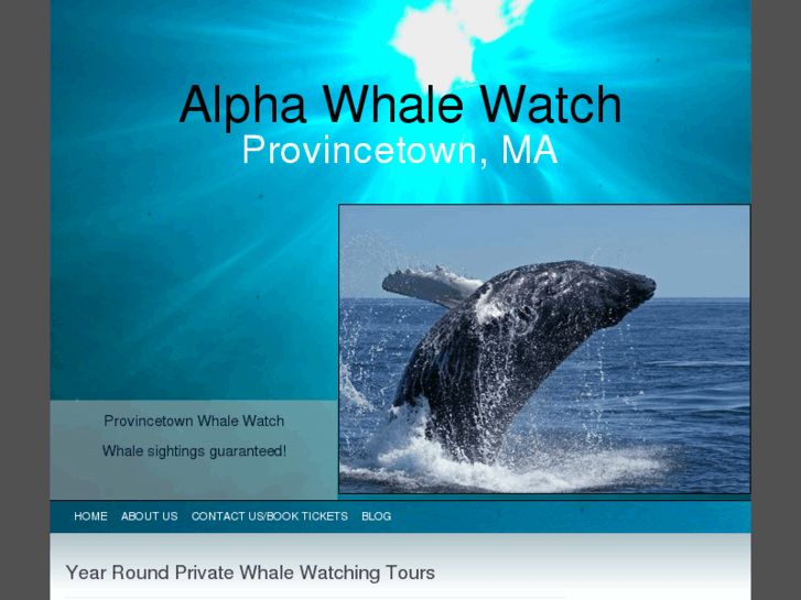 www.alphawhalewatch.com