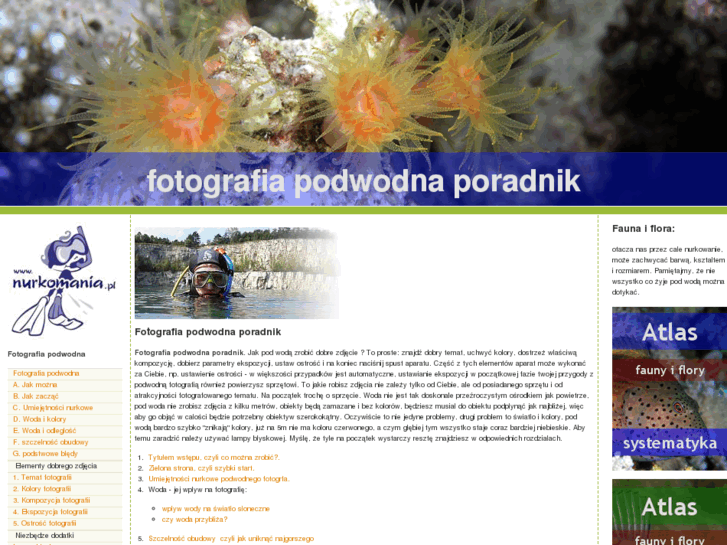 www.fotografiapodwodna.com