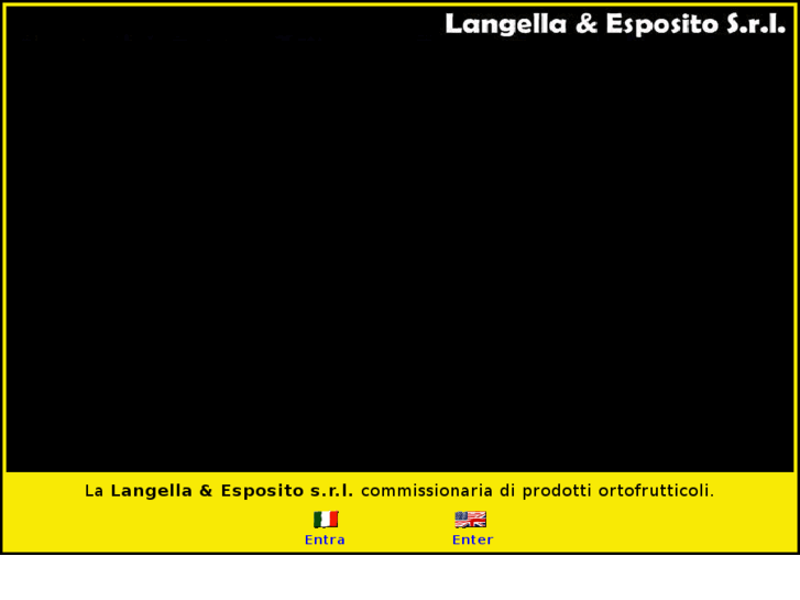 www.langellaesposito.com