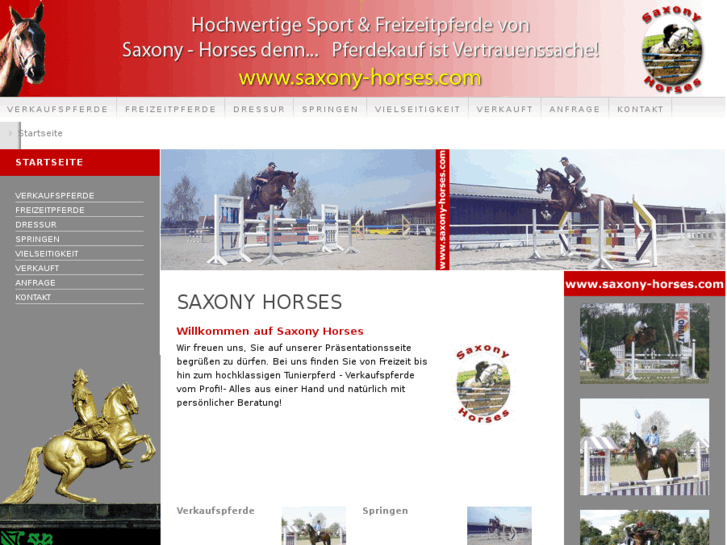 www.saxony-horses.com